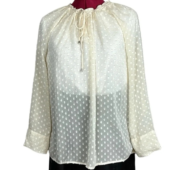 Liz  Claiborne, long sleeve chiffon blouse - Picture 1 of 10